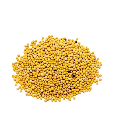 Mustard Seed (Yellow)