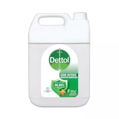 Dettol Antiseptic Disinfectant Liquid