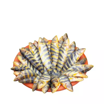 PQS Rani Fish Processed