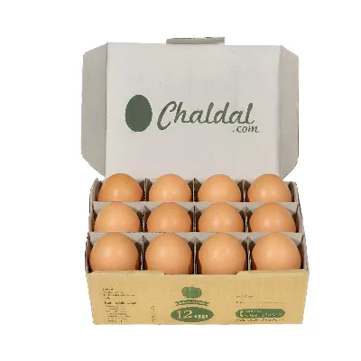 Chicken Eggs Layer (Super Egg)