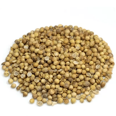 Coriander (Dhonia)