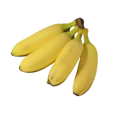 Banana Sobri