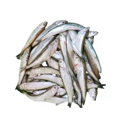 PQS Chela Pata Fish Processed