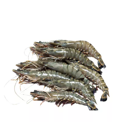 Bagda Chingri (Shrimp) 35-50 pcs ±30 gm