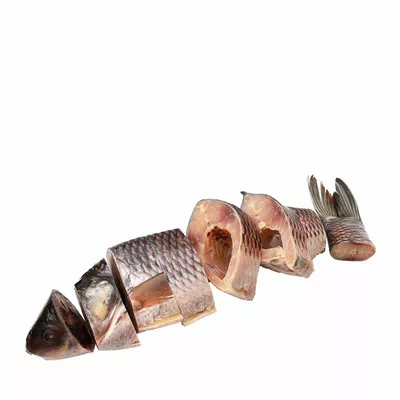 Rui Fish After Cutting ±50 gm