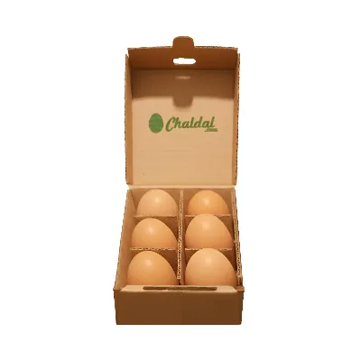 Chicken Eggs (Layer)