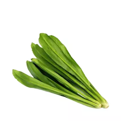 Long Coriander Leaves (Bilati Dhonia Pata) ± 10 gm