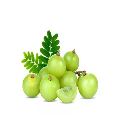 Amloki (Amla) ± 12 gm