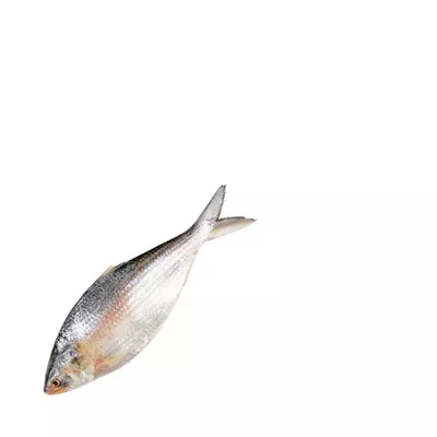 Whole Hilsha Fish (Asto Ilish) ± 50 gm