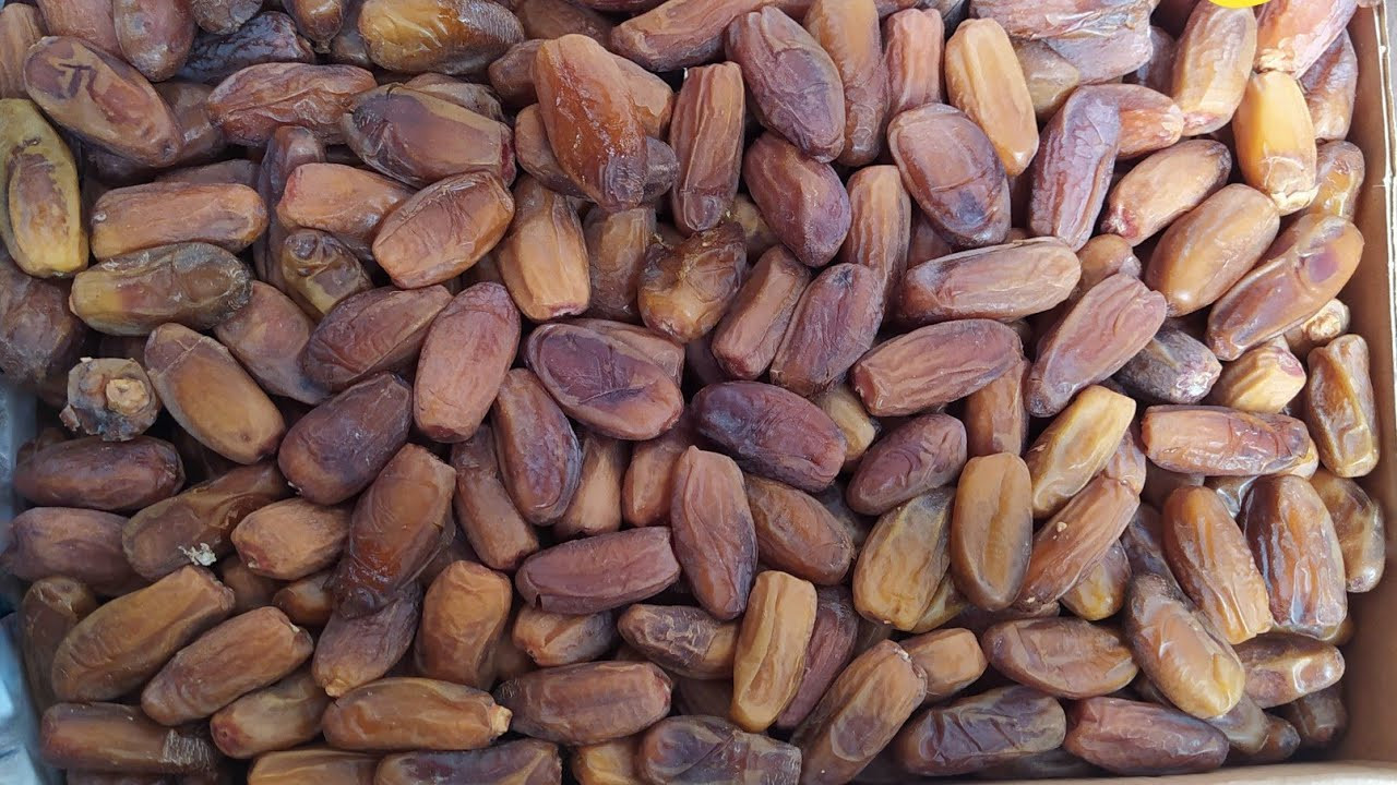 তিউনিসিয়া খেজুর