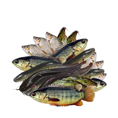 Mix Fish (Deshi) ± 30 gm